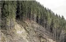  ?? BRADEN FASTIER/STUFF ?? Calls are being made for changes to some forestry practices in Tasman district, particular­ly on steep land with fragile soils.