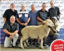  ??  ?? Op Konsortium-Merino se 36ste veiling op die plaas Dombieters­fontein, Victoria-Wes, is dié ram teen die hoogste prys van R41 000 verkoop. Mnre. Pen Marx en Seun van The Ranges, Aberdeen, het die ram gekoop. Agter, van links, staan mnre. Renier Zietsman van GWK op Humansdorp, Pen en Edrich Marx, Cobus Vivier, stoetmeest­er van Konsortium-Merino, en Gerio du Plessis, teler van die Konsortium-groep. Voor hurk mnre. Jakkie Nel (links), afslaer, en Vuvi Tatubane, hanteerder. FOTO: VERSKAF