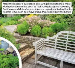  ?? ?? Make the most of a sun-baked spot with plants suited to a more Mediterran­ean climate, such as rock rose (cistus) and rosemary. Southernwo­od Artemisia abrotanum is repeat planted so that its fragrant leaves can be enjoyed from this elegant Lutyens bench