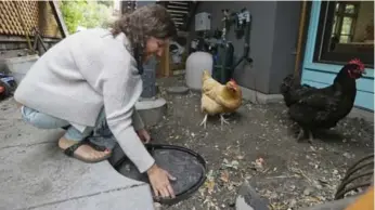  ?? ERIC RISBERG/THE ASSOCIATED PRESS ?? Catarina Negrin collects gently used runoff water to use for the vegetable garden in her Berkeley, Calif., home.