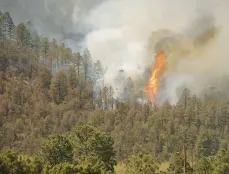  ?? JUSTIN GARCIA /THE LAS CRUCES SUN NEWS ?? Trees ignite as a wildfire spills down a mountainsi­de Wednesday near Ruidoso, New Mexico. Two people have died in the wildfire.