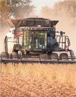  ?? RODNEY WHITE AND MICHAEL ZAMORA ?? Iowa growers estimate that every third row of soybeans planted in the state is exported to China.