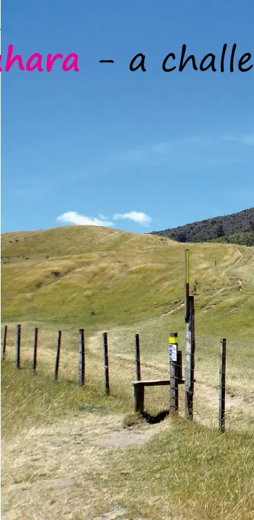  ??  ?? Right: The track follows over the paddocks to Mt Tauhara in the distance.