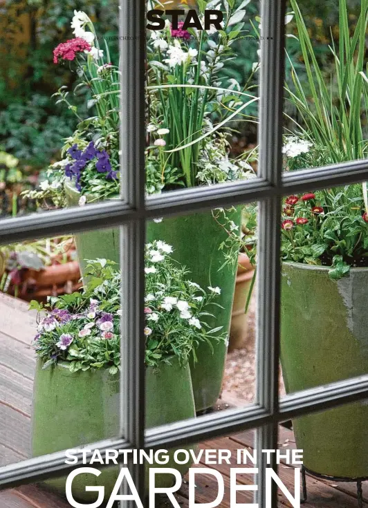  ?? John Everett / Contributo­r ?? A trio of green pots packed with cool-season blooms just outside the kitchen door distracts from the freeze-dried look of the garden beyond.