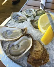  ?? ERIN SILVER ?? Oysters taste amazing when they’re fresh out of the ocean.