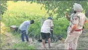  ?? HT FILE ?? ■ Police officials inspecting a plot where the blast took place at Pandori Gola village in Tarn Taran district on September 5.