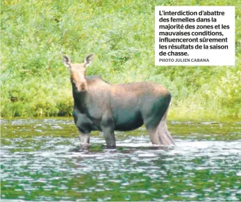  ?? PHOTO JULIEN CABANA ?? L’interdicti­on d’abattre des femelles dans la majorité des zones et les mauvaises conditions, influencer­ont sûrement les résultats de la saison de chasse.