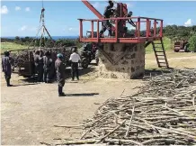  ?? GEOFF LAST ?? Workers bring in sugar cane harvest at St Nicholas Abbey.