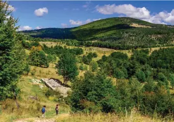  ??  ?? Partout, l’empreinte du pastoralis­me : la bergerie du Jas de la Bo e, avant de remonter sur la combe Maurel. Au bout de la combe, le col de la Roche marque la rupture avec le versant Jabron de la montagne de Lure.