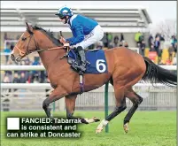  ??  ?? ®Ê FANCIED: Tabarrak is consistent and can strike at Doncaster