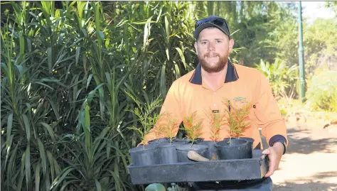  ??  ?? WINNER: Northern Grampians Shire Council apprentice Tom Hamiton is South West TAFE’S 2017 Outstandin­g Apprentice of the Year.