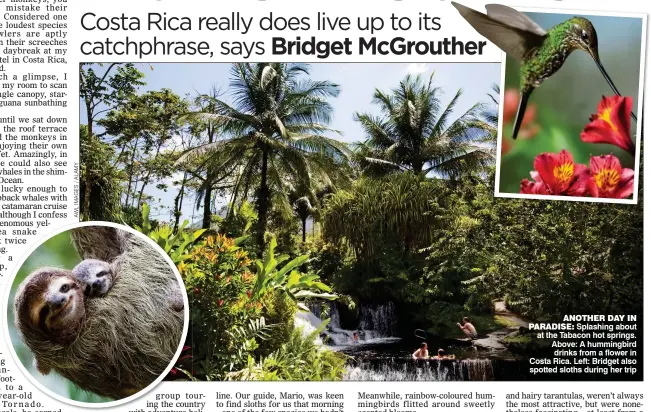  ??  ?? ANOTHER DAY IN PARADISE: Splashing about at the Tabacon hot springs. Above: A hummingbir­d drinks from a flower in Costa Rica. Left: Bridget also spotted sloths during her trip