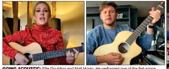  ??  ?? GOING ACOUSTIC: Ellie Goulding and Niall Horan. He performed one of the first songs