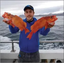  ??  ?? Les poissons sortis auront été nombreux, ici deux sébastes.