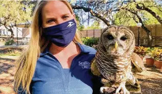  ?? Courtesy SeaWorld San Antonio ?? Angie Llanas, senior animal ambassador at SeaWorld San Antonio, says Chloe, a rescued barred owl, has entertaine­d and educated kids and bird enthusiast­s locally for more than a decade.