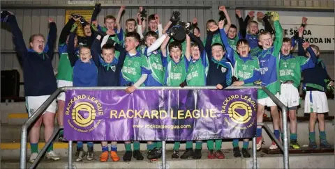  ??  ?? The Glynn boys in jubilant form after collecting the silverware.