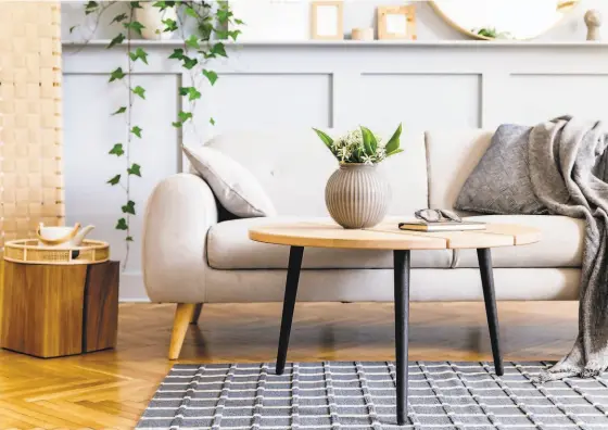  ?? / Shuttersto­ck ?? Scandinavi­an concept of living room interior with design sofa, coffee table, plant in pot, lamp, carpet, plaid, pillow, shelf, decoration and personal accessorie­s in modern home staging.