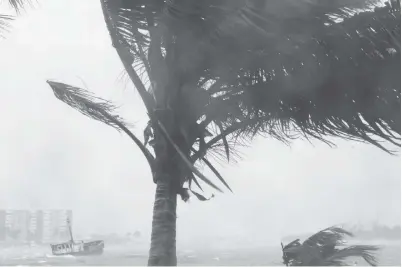  ?? Gambar Reuters ?? POKOK palma bergoyang ketika Taufan Irma membadai pulau-pulau tropika di Caribbean kelmarin. —