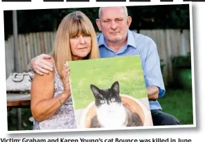  ??  ?? Victim: Graham and Karen Young’s cat Bounce was killed in June