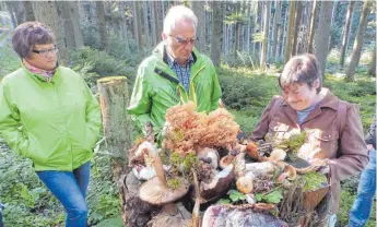  ?? FOTO: ARCHIV/SMÜ ?? Auf großes Interesse stoßen die Pilzwander­ungen der Trossinger Pilzsammle­r. Beate Gohlke zeigt hier interessan­te Exemplare.