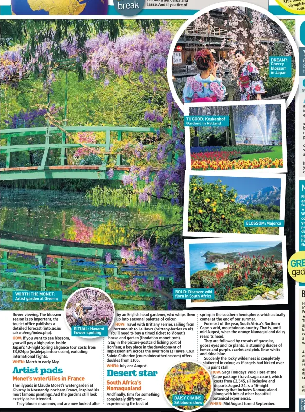  ??  ?? WORTH THE MONET: Artist garden at Giverny RITUAL: Hanami flower spotting TU GOOD: Keukenhof Gardens in Holland BOLD: Discover wild flora in South Africa DAISY CHAINS: SA bloom show DREAMY: Cherry blossom in Japan BLOSSOM: Majorca