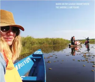  ??  ?? MARIE ON THE LUGOGO SWAMP, WHERE THE SHOEBILLS ARE FOUND