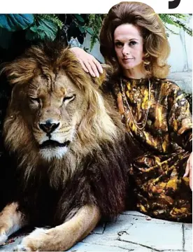  ??  ?? Copycat: Tippi Hedren sporting a lion’s mane hairstyle, posing with her pet lion Neil