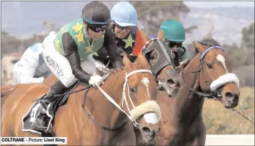  ??  ?? COLTRANE - Picture: Liesl King 12.20) - WELCOME TO FLAMINGO PARK MAIDEN PLATE (F & M) of R46000 over 1600m 12.50) - RACING. IT’S A RUSH MR 77 HANDICAP of R48000 over 1600m 13.20) - FLAMINGO FESTIVAL 1 AUGUST MAIDEN PLATE of R46000 over 1400m