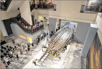  ?? PHOTOS BY DEBORAH CANNON / AMERICAN-STATESMAN ?? Workers from Clegg Services and the Bullock Texas State History Museum push the hull of the recovered ship La Belle into its permanent display area Thursday.