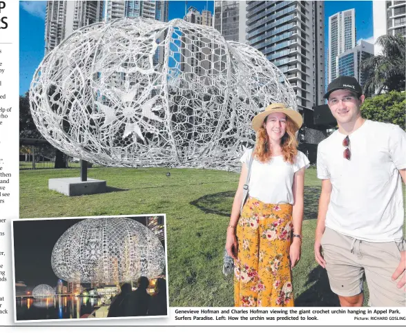  ?? Picture: RICHARD GOSLING ?? Genevieve Hofman and Charles Hofman viewing the giant crochet urchin hanging in Appel Park, Surfers Paradise. Left: How the urchin was predicted to look.