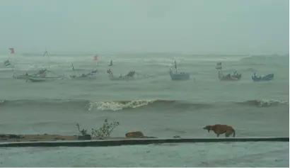  ??  ?? A dog shakes off rainwater as anchored fishing boats are seen bobbing in the rough sea off a popular beachfront promenade in Mumbai on Tuesday. Cyclone Ochki brought heavy rain to Mumbai as it moved up the Indian west coast, after hitting southern...