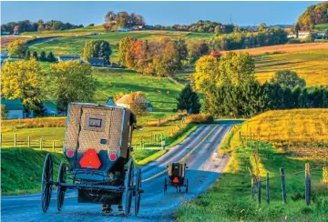  ?? Picture: ALAMY ?? Slow pace of life: The Amish travel in traditiona­l style near Berlin, Ohio