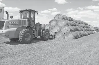  ?? AP Photo/Dave Kolpack ?? n Bales of hay that have been donated for a lottery drawing to help drought-stricken farmers and ranchers are stacked at a site Aug. 22 near the North Dakota State University campus in Fargo, N.D. State agricultur­e officials in the Northern Plains are...