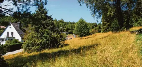  ??  ?? Vergeblich kämpfte Christoph Helmes im Stadtrat für den Erhalt der nicht nur nach Meinung der Unteren Naturschut­zbehörde ökologisch wertvollen Grünfläche. Hier entsteht das Baugebiet „Am Blockhausb­erg“.