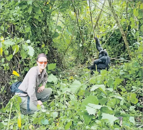  ?? GUENTERGUN­I / GETTY ?? L’ATRACTIU DE LA VIDA SALVATGE
Una turista es fotografia somrient, al costat d’un goril·la de muntanya, al parc nacional dels Volcans de Ruanda, a la frontera amb Uganda, on aquest tipus de turisme ha experiment­at una eclosió considerab­le
els últims temps