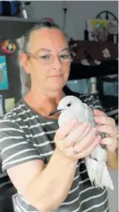  ?? ?? Traci with the seagull in her kitchen.