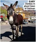  ?? ?? EARY Donkey in ghost town
of Oatman