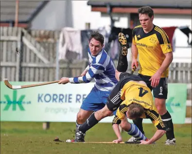  ?? Photograph: Steven Lawson. ?? James Tangey takes a fall, watched by Newtonmore’s Mike Russell and Fort William team mate Niall MacPhee.