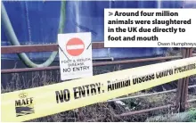  ?? Owen Humphreys ?? > Around four million animals were slaughtere­d in the UK due directly to foot and mouth