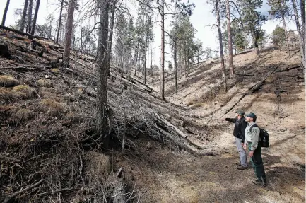  ?? LUIS SÁNCHEZ SATURNO/THE NEW MEXICAN ?? Bruce Hill, front, public affairs officer at the U.S. Forest Service, and Sandy Hurlocker, district ranger at the U.S. Forest Service Española Ranger District, check out Friday some treated sections of forest at the Santa Fe Municipal Watershed.