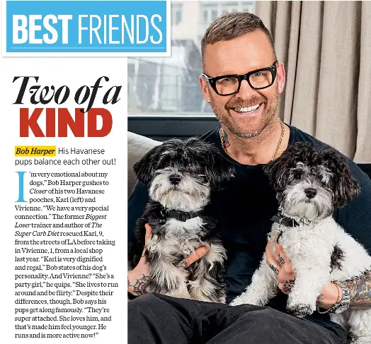 Bob harper dogs hotsell
