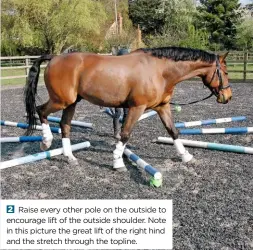  ??  ?? Raise every other pole on the outside to encourage lift of the outside shoulder. Note in this picture the great lift of the right hind and the stretch through the topline.