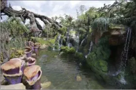  ?? JOHN RAOUX — THE ASSOCIATED PRESS FILE ?? In this file photo, landscapin­g consisting of real Earth plant species mixed with sculpted Pandora artificial flora is surrounded by ponds and gentle waterfalls at the Pandora-World of Avatar land attraction in Disney’s Animal Kingdom theme park at...