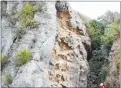  ??  ?? Firefighte­rs rescued a dog who had become lost and stuck down the side of the cliff. Photo / FENZ video