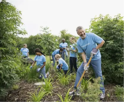  ??  ?? ABOVE Local growing areas can be hugely beneficial to communitie­s and help to bring generation­s together