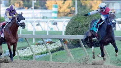  ?? BARBARA D. LIVINGSTON ?? Harpers First Ride has won four of his last five starts, including the Pimlico Special (above).