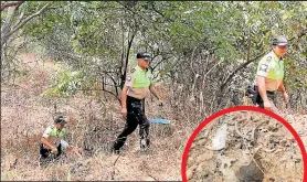  ?? Fotos: Cortesía y Christian Vinueza / EXTRA ?? El hallazgo ocurrió en un sector boscoso del norte de Guayaquil. El cuerpo había quedado en huesos.