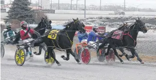  ?? JASON MALLOY • THE GUARDIAN ?? Dueling Banjos with David Dowling driving, second from left, caught and passed leader Outrageous Spirit (Jason Hughes) to win Race 1 Saturday at Red Shores at the Charlottet­own Driving Park.