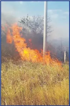  ??  ?? La Comisión Nacional Forestal sin reportes de incendios