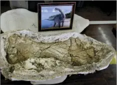  ??  ?? In this Saturday photo, a humerus or arm bone and a drawing of a Cretaceous period dinosaur are displayed in a lab at Mansoura university, in Mansoura, Egypt. AP PHOTO/AMR NABIL